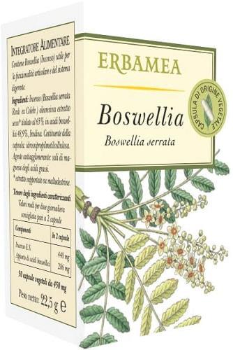 Boswellia