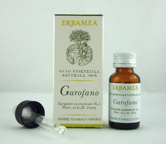 Garofano biologico