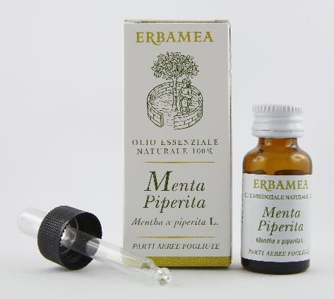 Menta piperita