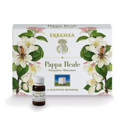 Pappa reale fresca
