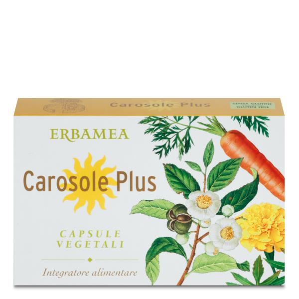 Plus Capsule