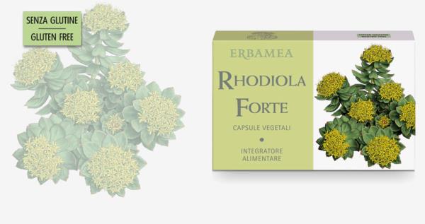 Rhodiola forte