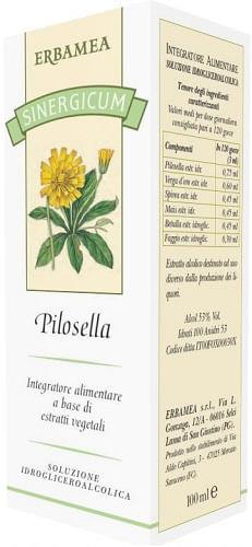 Sinergicum pilosella